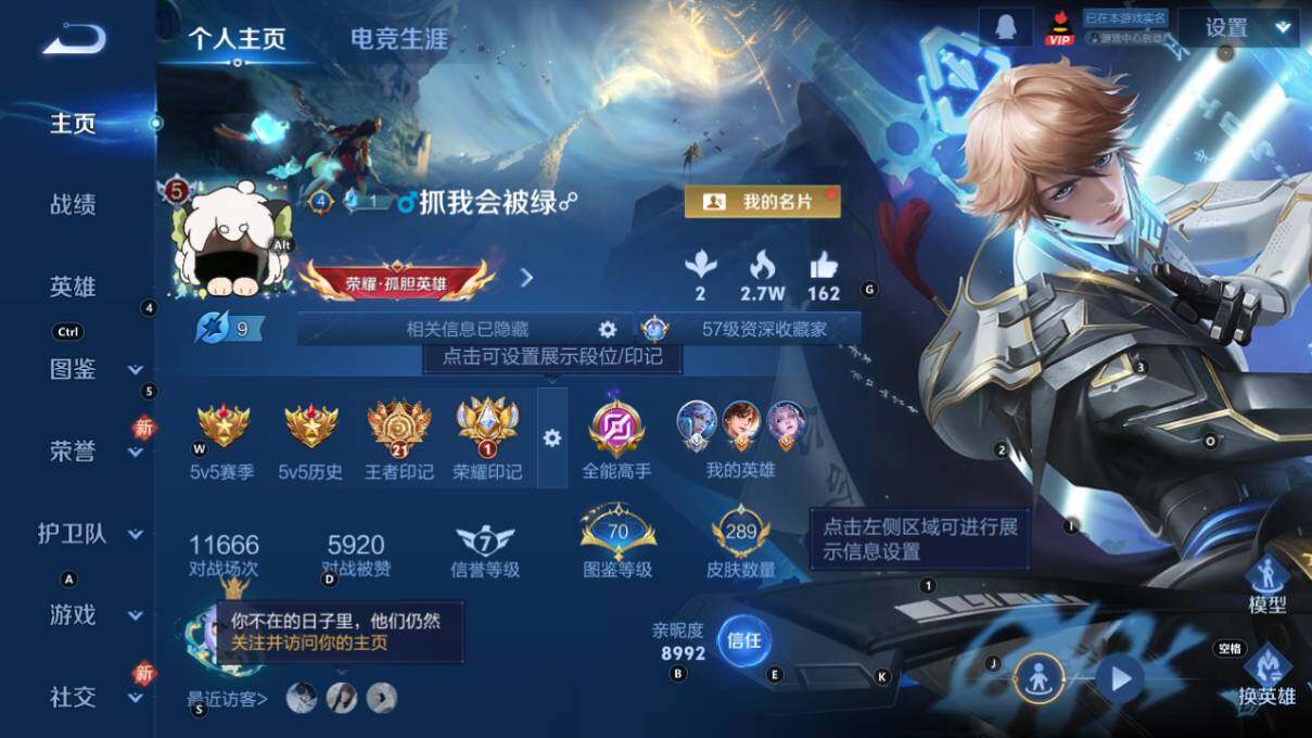 WZLX463406王者荣耀账号详情图8