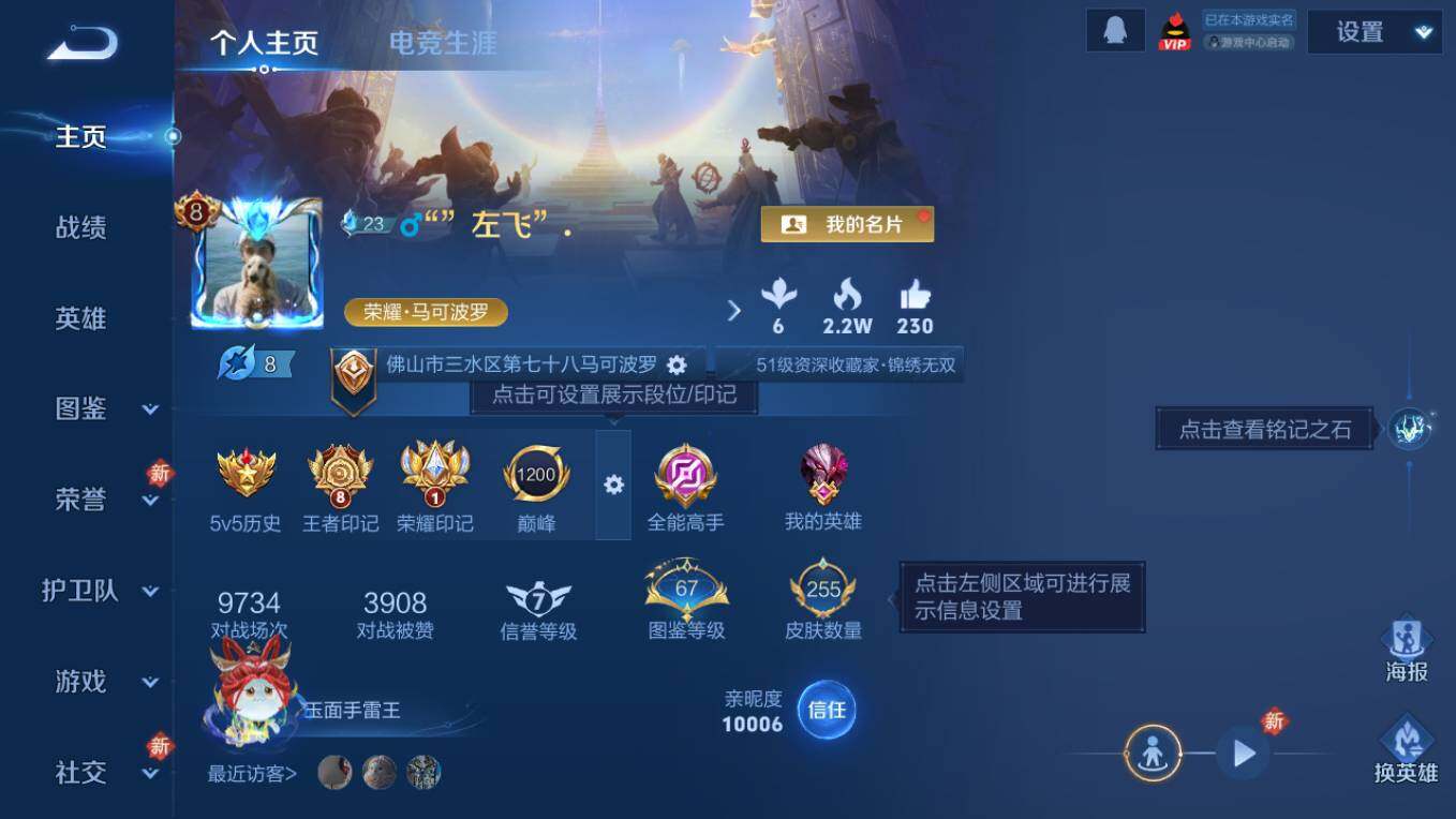 WZCMW496167王者荣耀账号详情图9