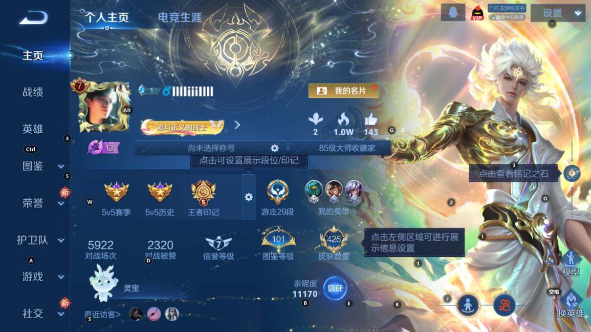 WZLX473041王者荣耀账号详情图10