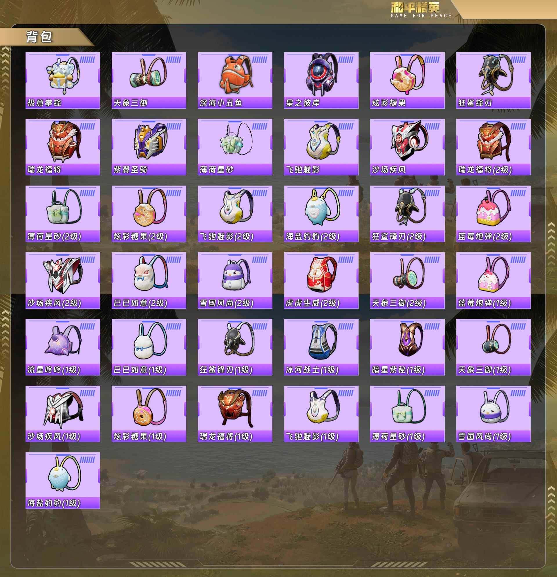 HPQM478378和平精英账号详情图10