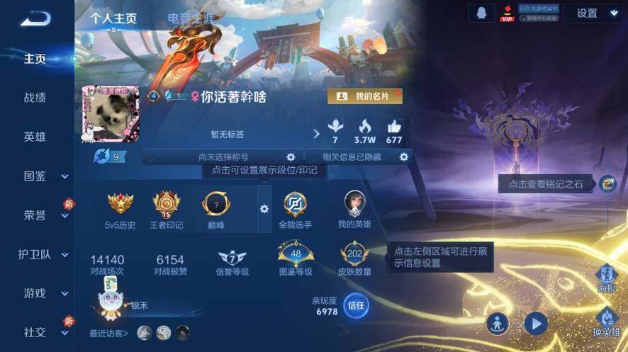 WZ03465795王者荣耀账号详情图7