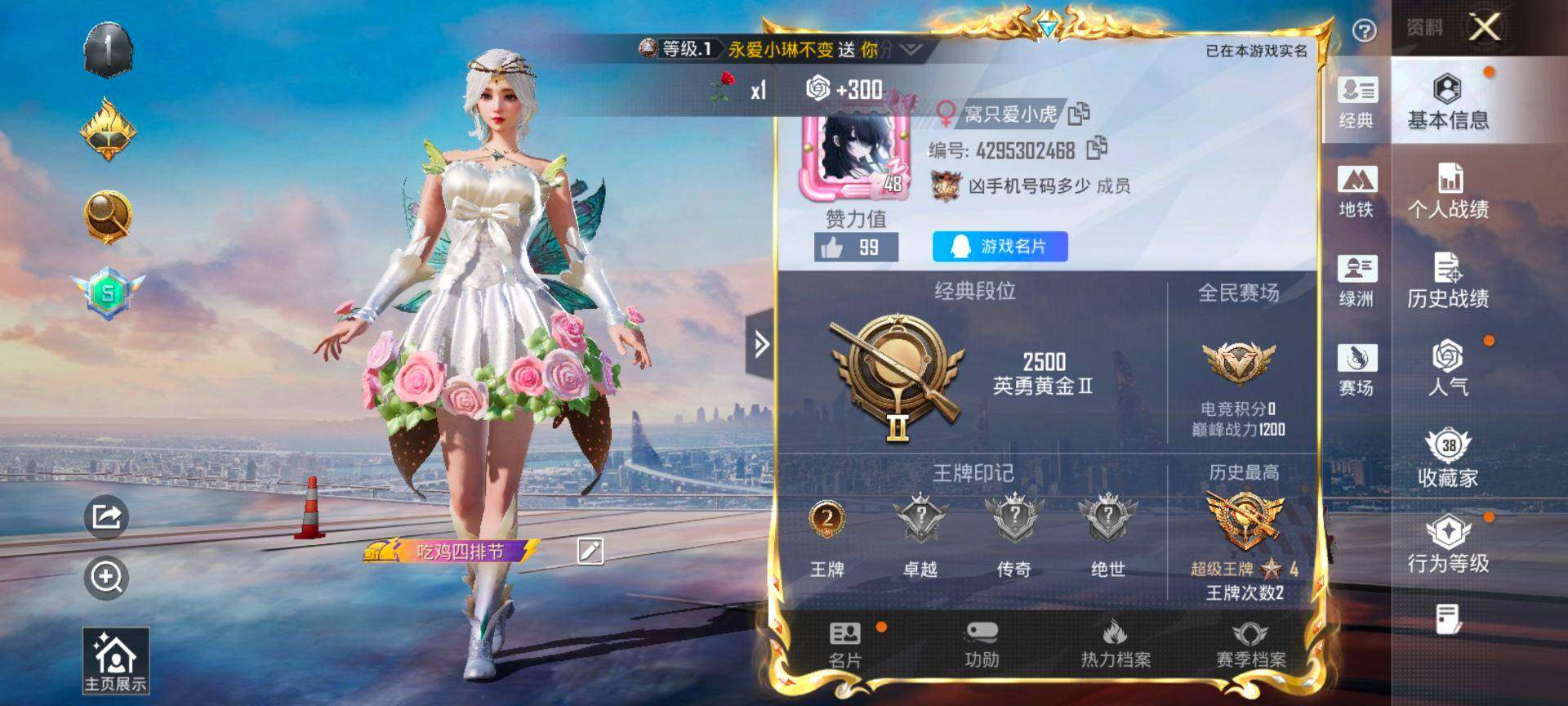 HPCMW468584和平精英账号详情图2