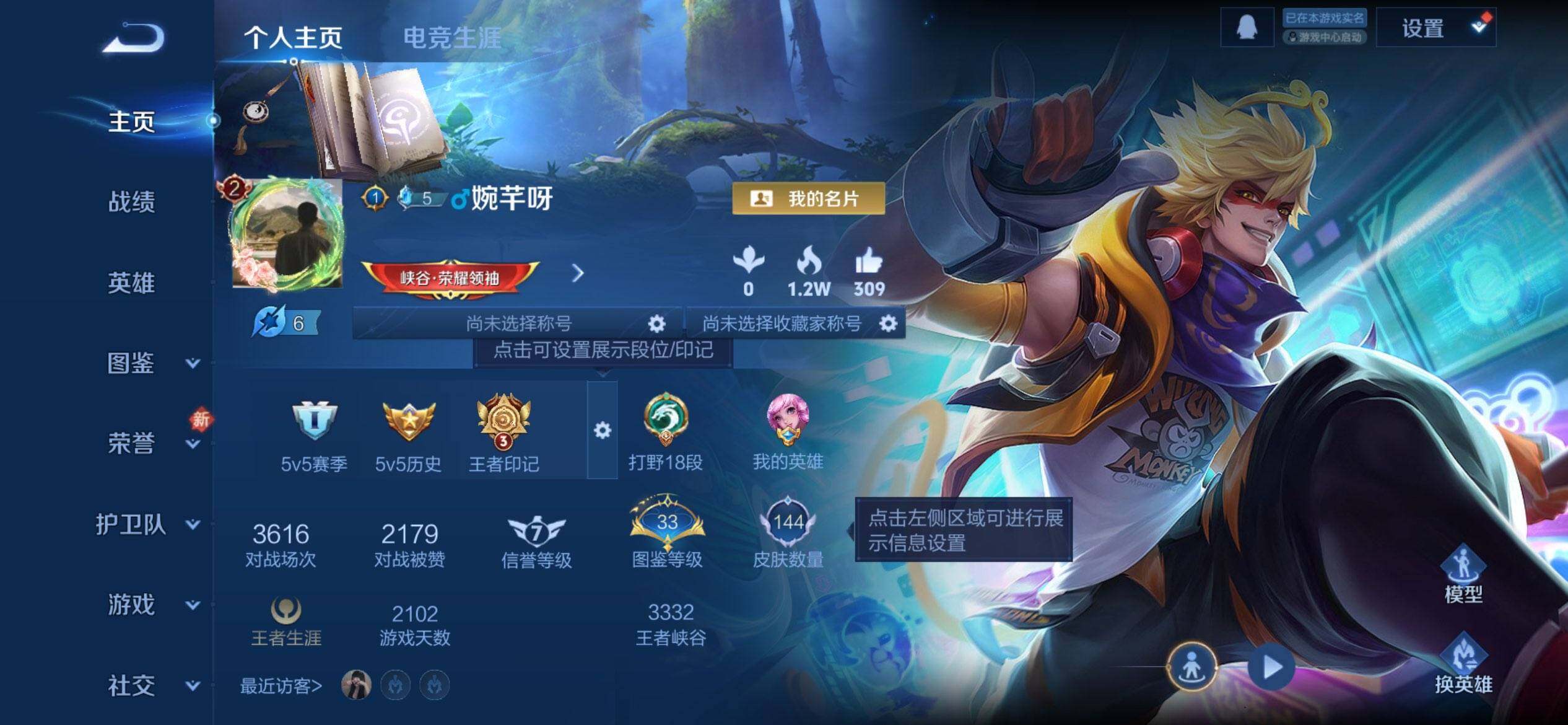 WZQM463453王者荣耀账号详情图3