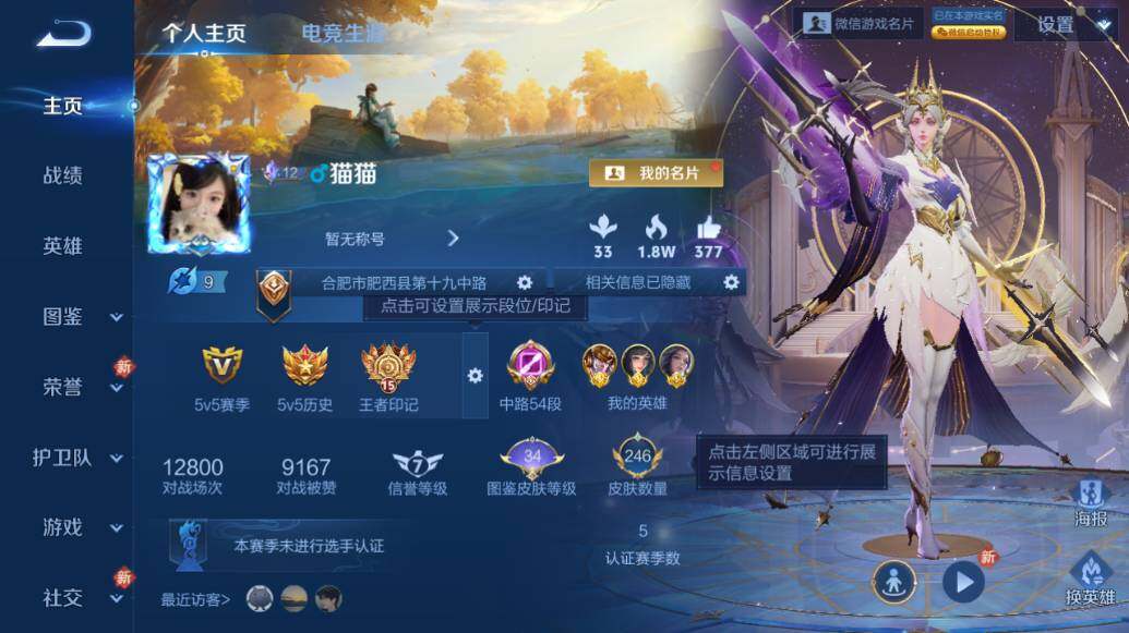 WZLE466102王者荣耀账号详情图6