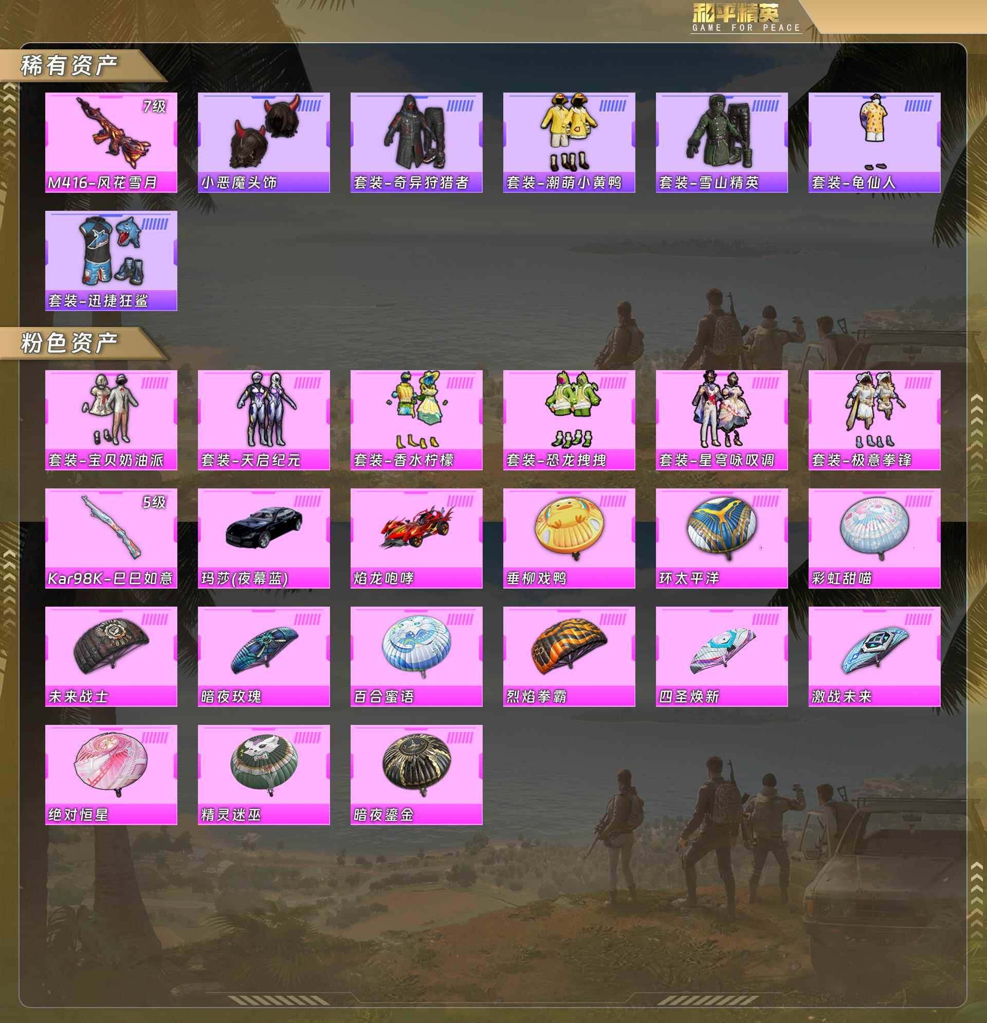 HPQM478384和平精英账号详情图5