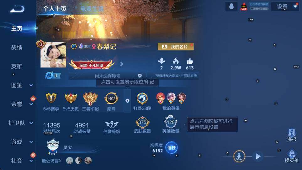 WZCMW465260王者荣耀账号详情图9