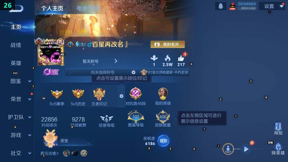 WZ03465614王者荣耀账号详情图10