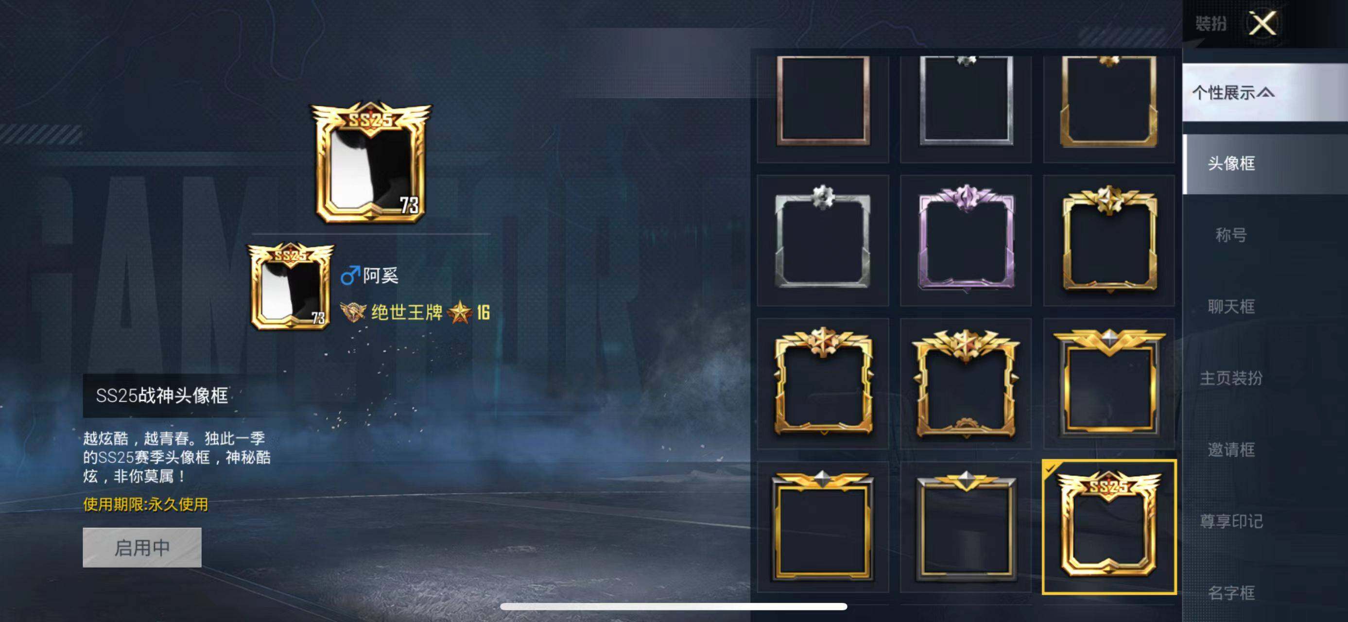 HPCMW463821和平精英账号详情图10