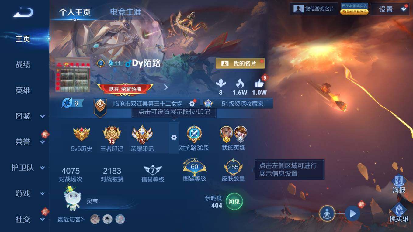 WZCMW495903王者荣耀账号详情图9