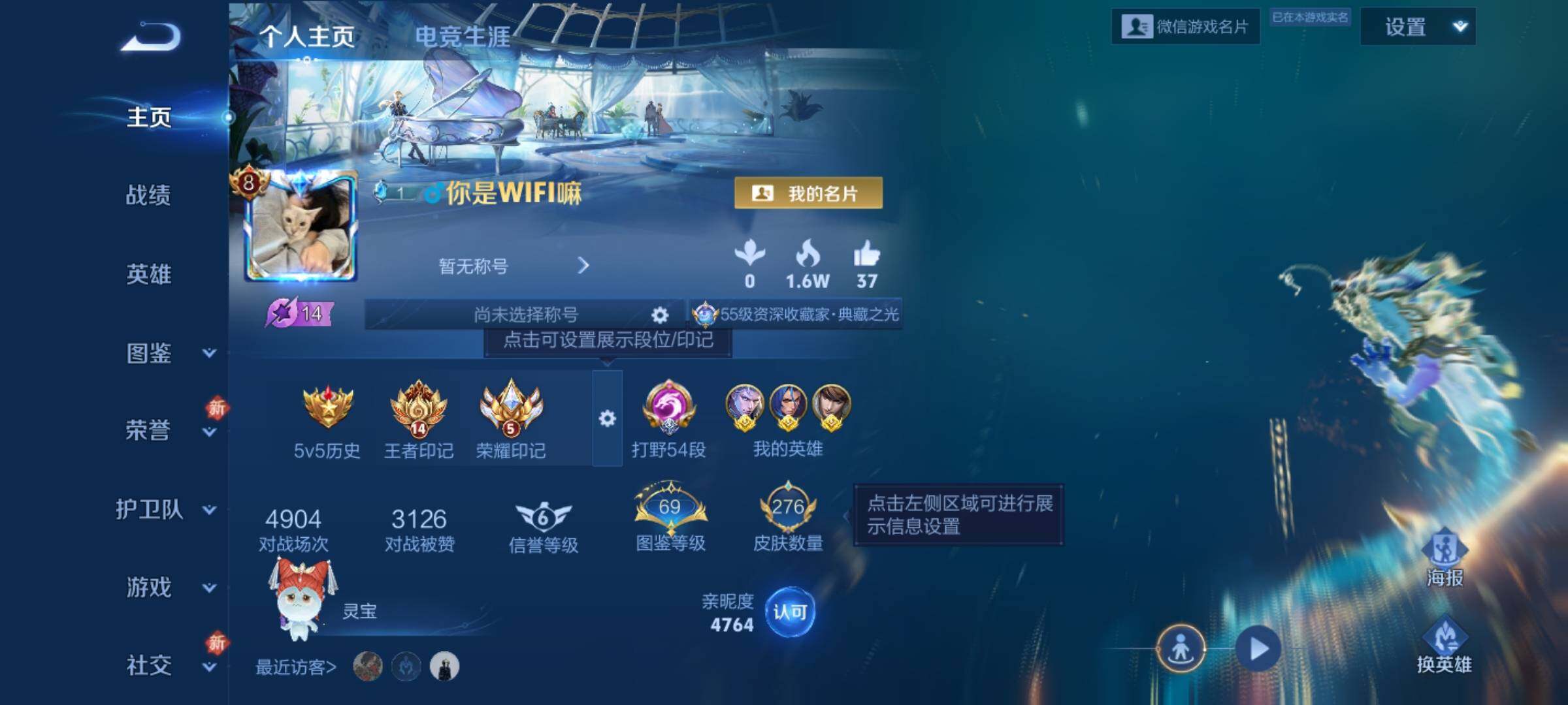 WZKG466071王者荣耀账号详情图8