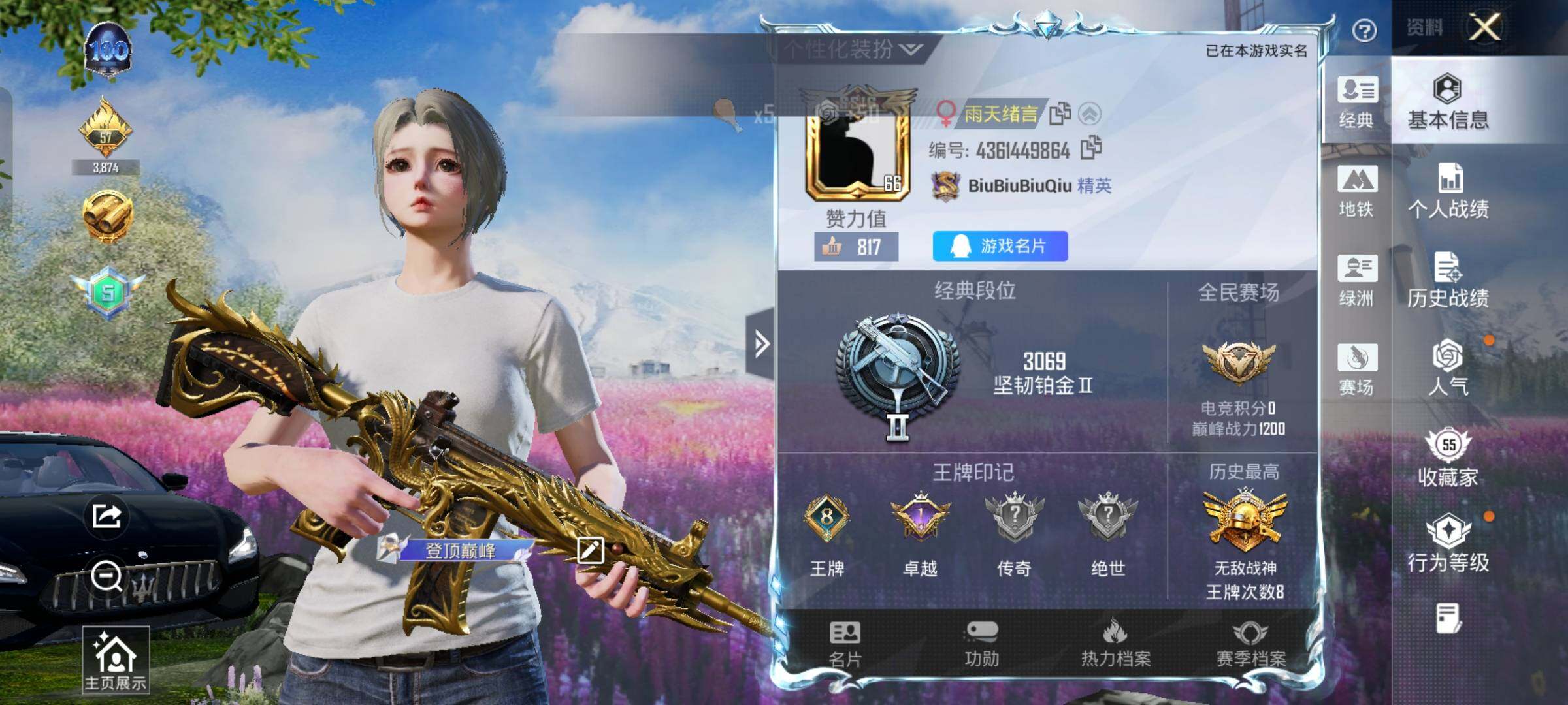 HPCMW458027和平精英账号详情图2