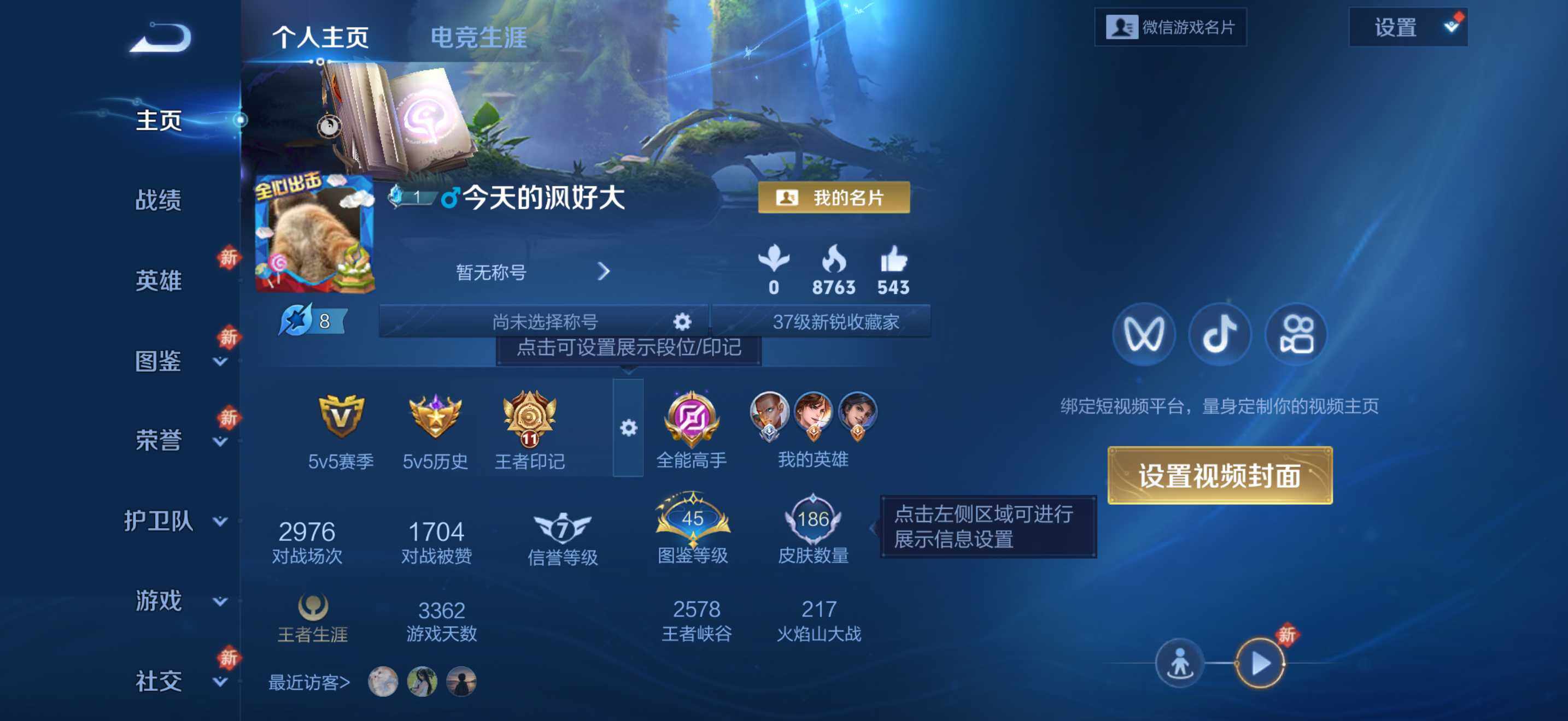 WZCMW467747王者荣耀账号详情图3