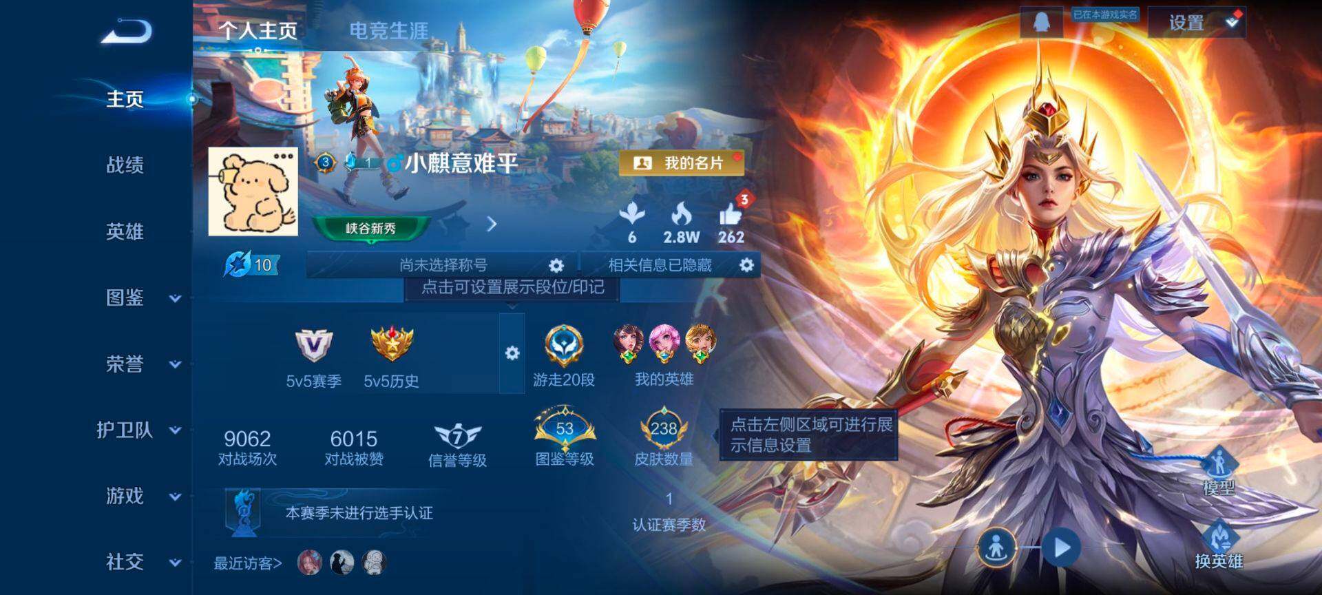 WZQM467862王者荣耀账号详情图3