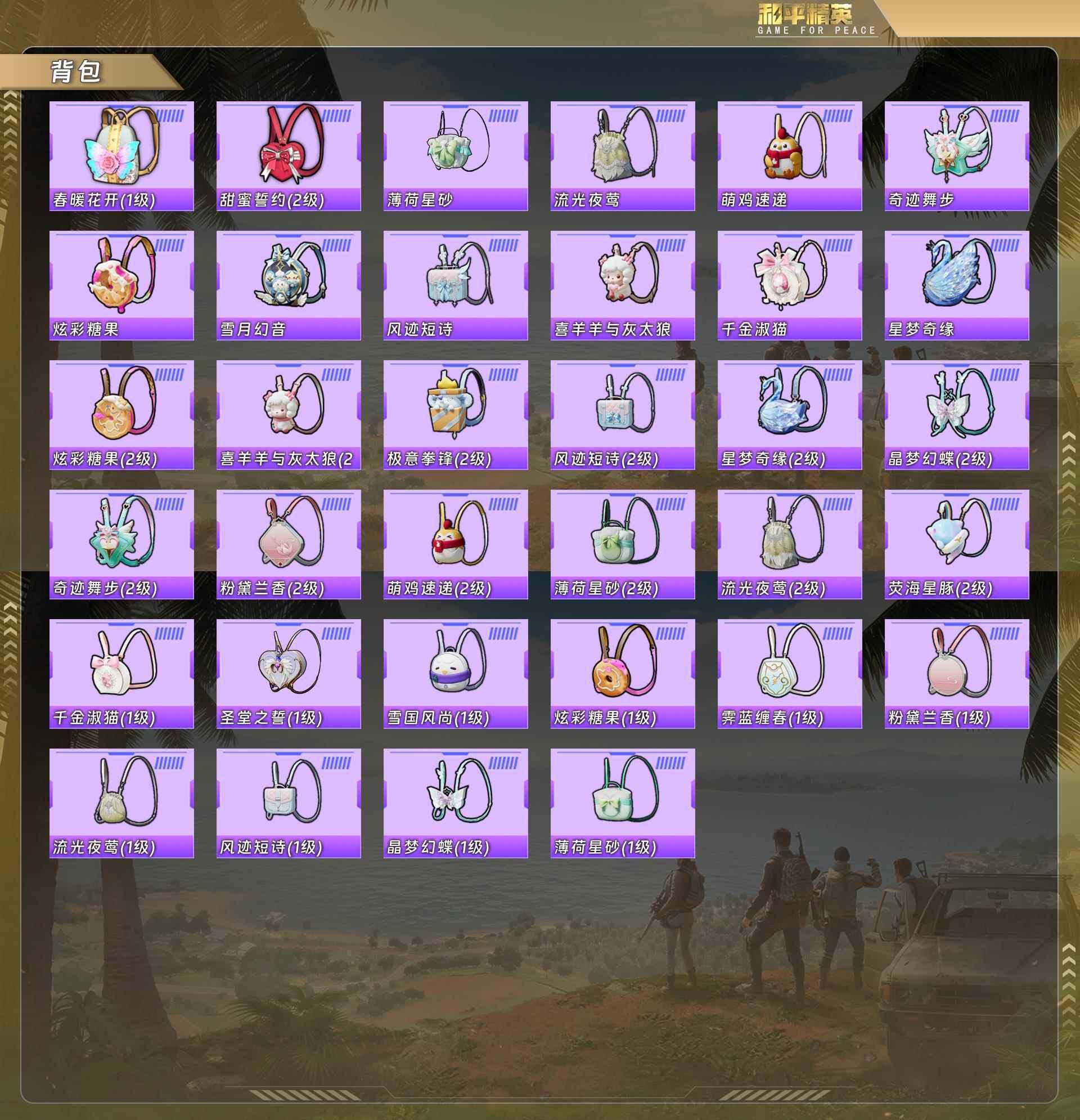 HPQM478372和平精英账号详情图10