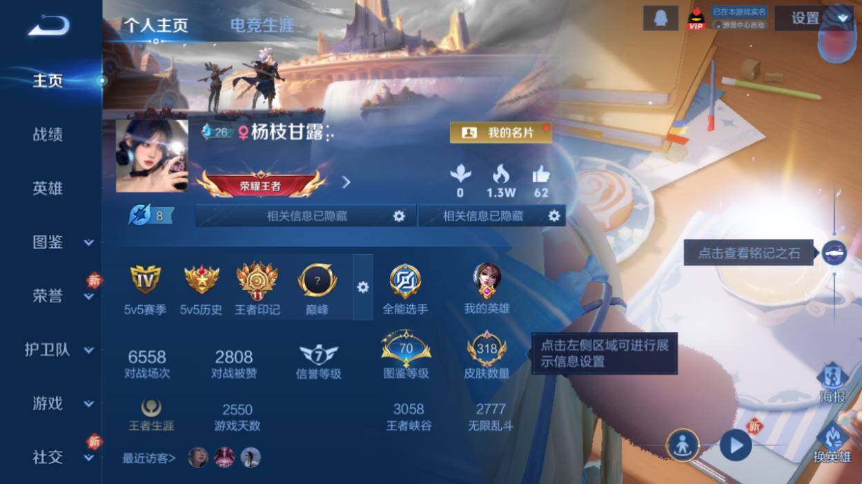 WZLX478618王者荣耀账号详情图7