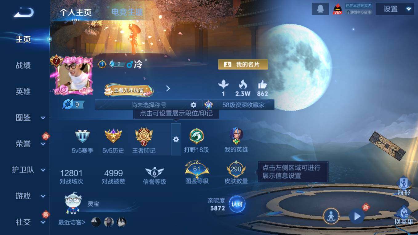 WZCMW495761王者荣耀账号详情图10