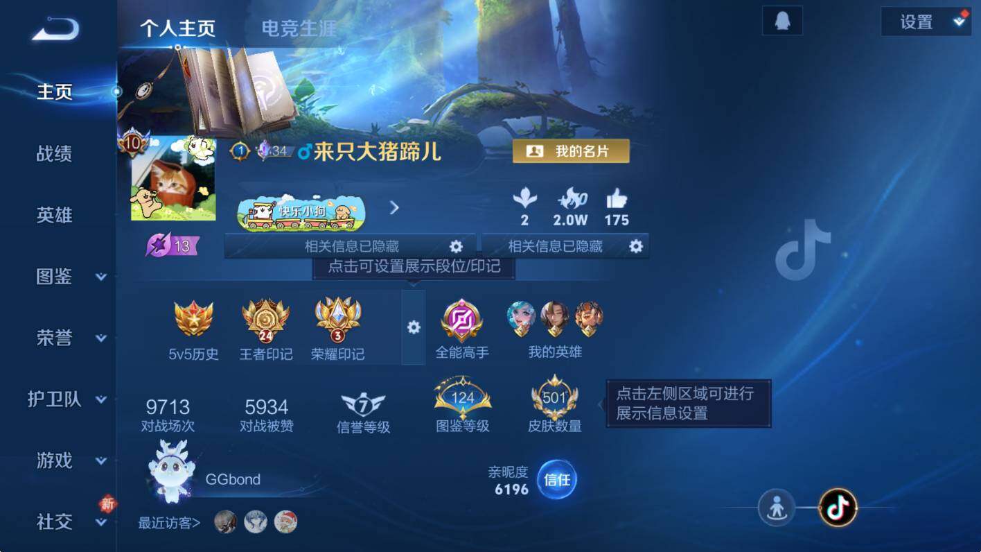 WZCMW469587王者荣耀账号详情图13