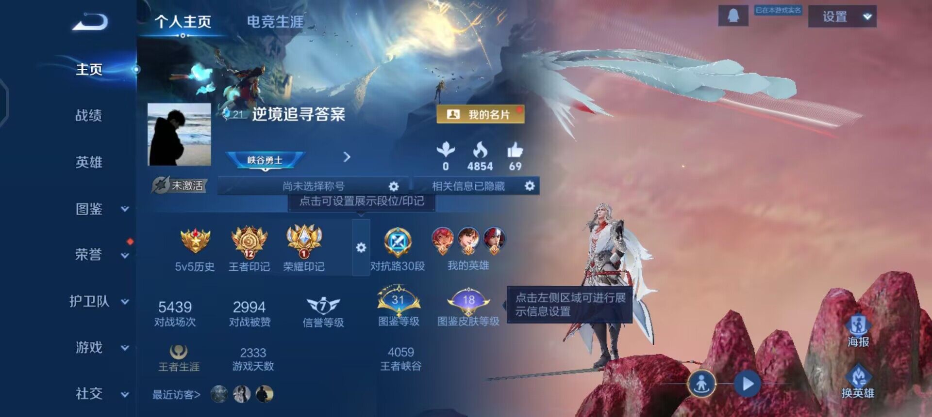 WZQM4121076王者荣耀账号详情图3