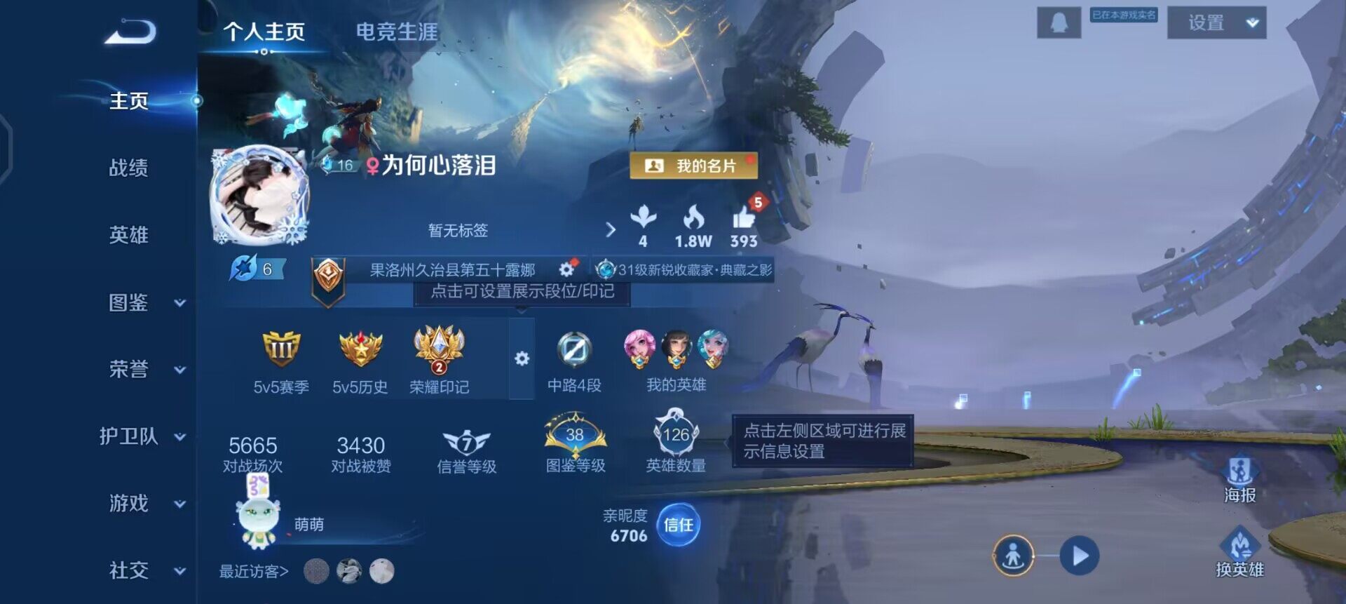 WZQM488528王者荣耀账号详情图3