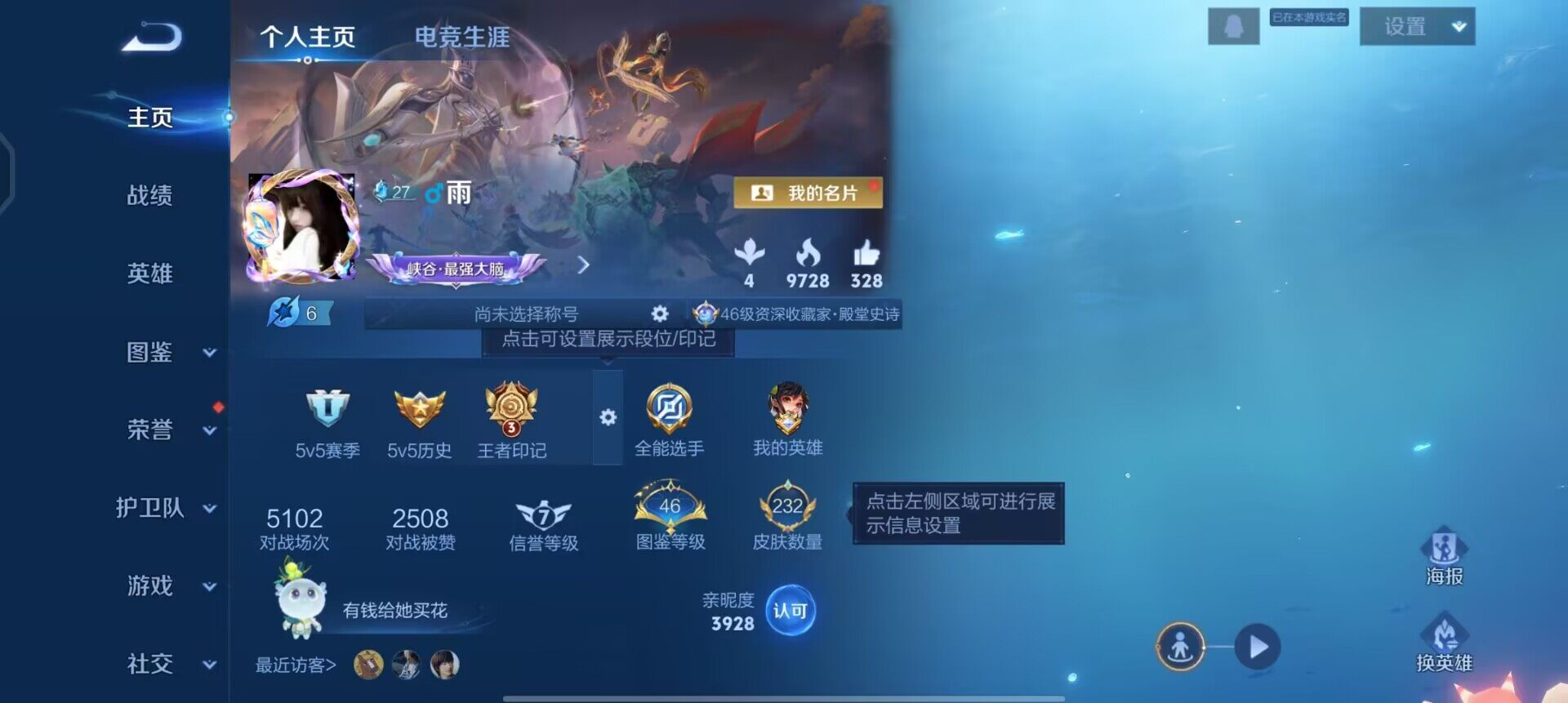 WZQM497556王者荣耀账号详情图3