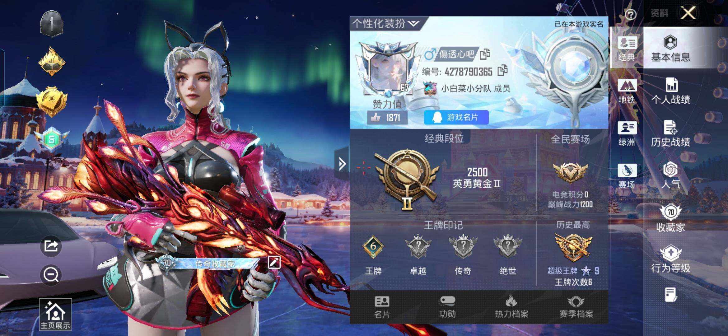 HPDN461923和平精英账号详情图2