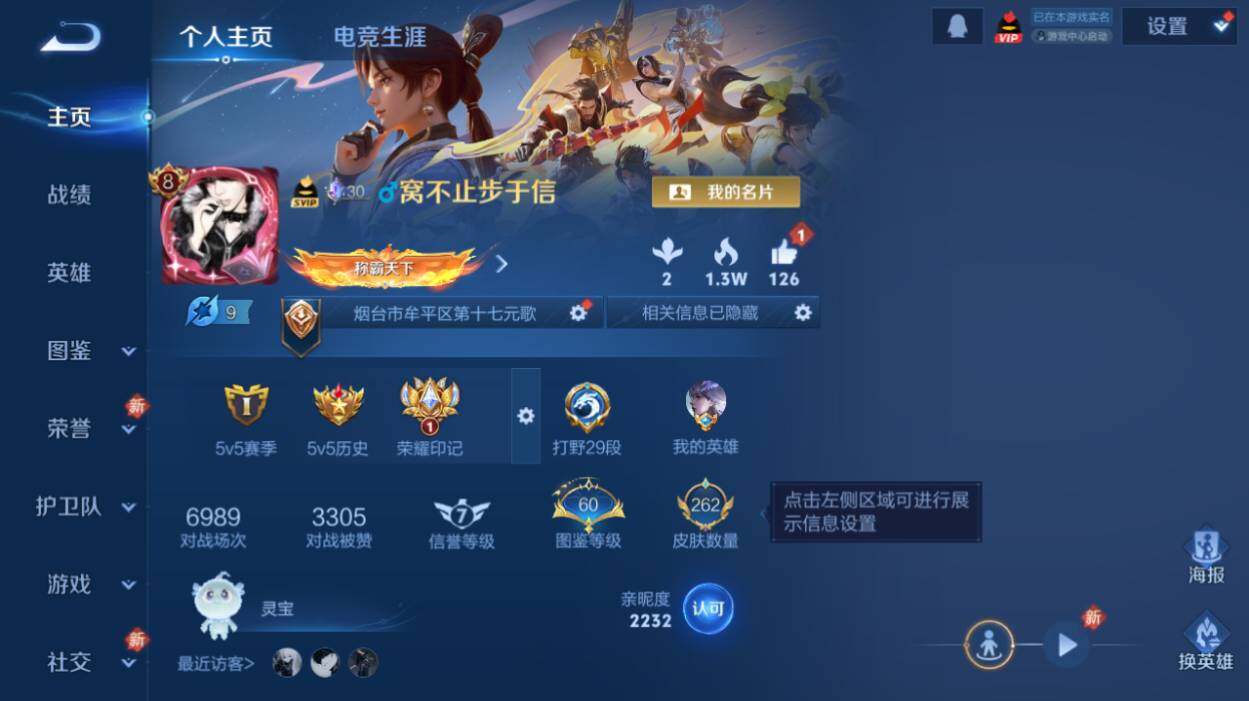 WZLX485494王者荣耀账号详情图6