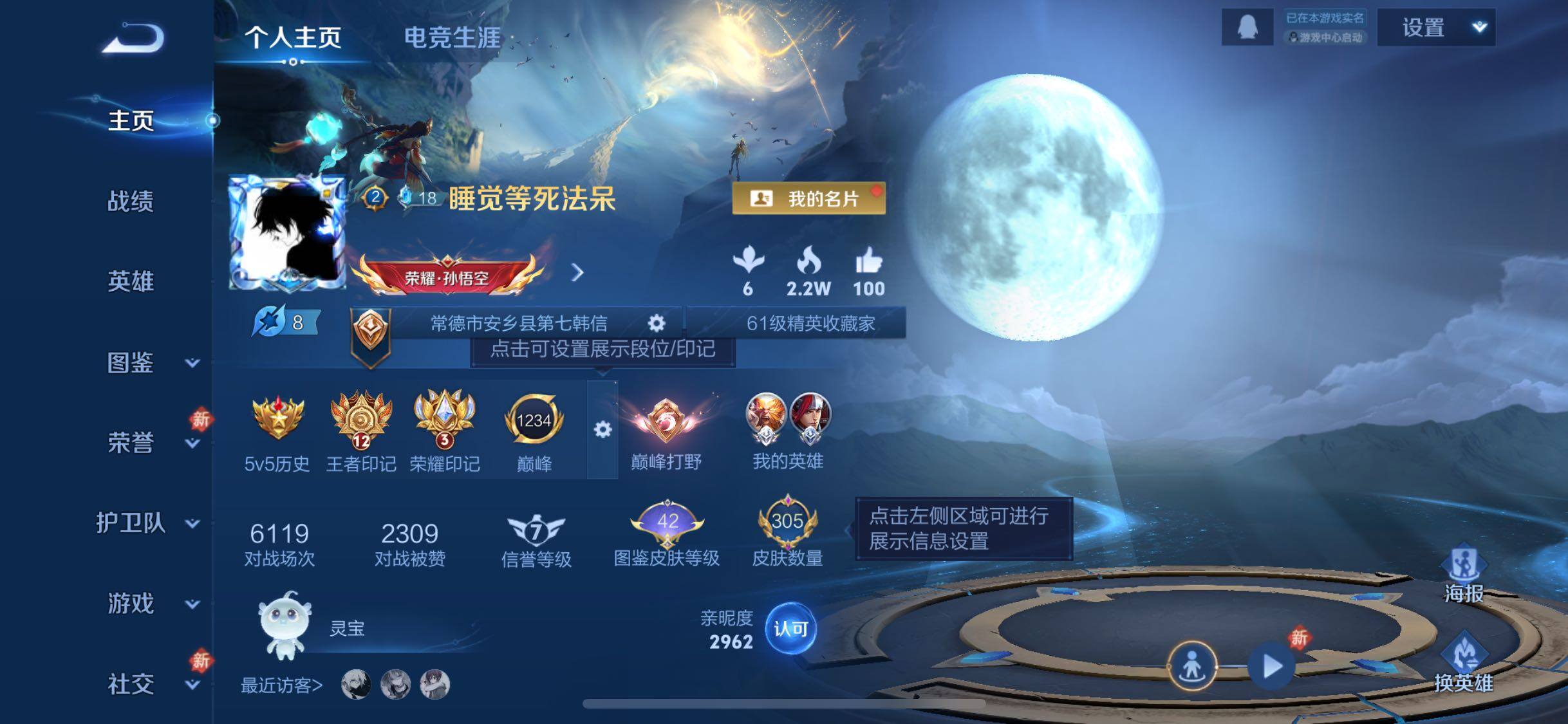 WZJZ493115王者荣耀账号详情图7