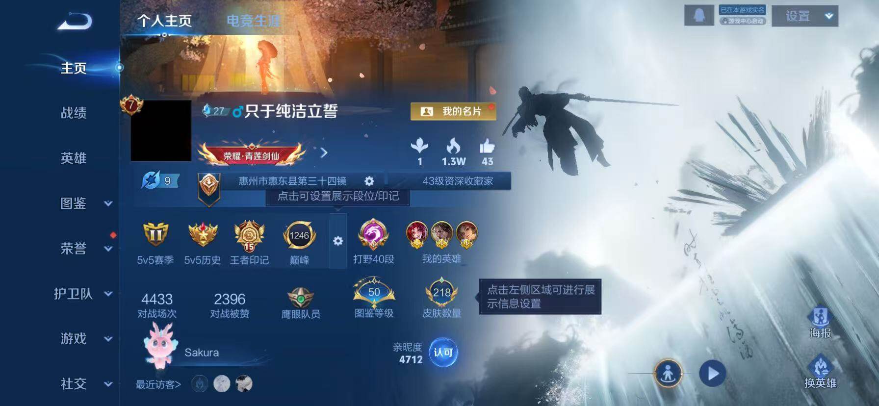 WZKG4110976王者荣耀账号详情图9