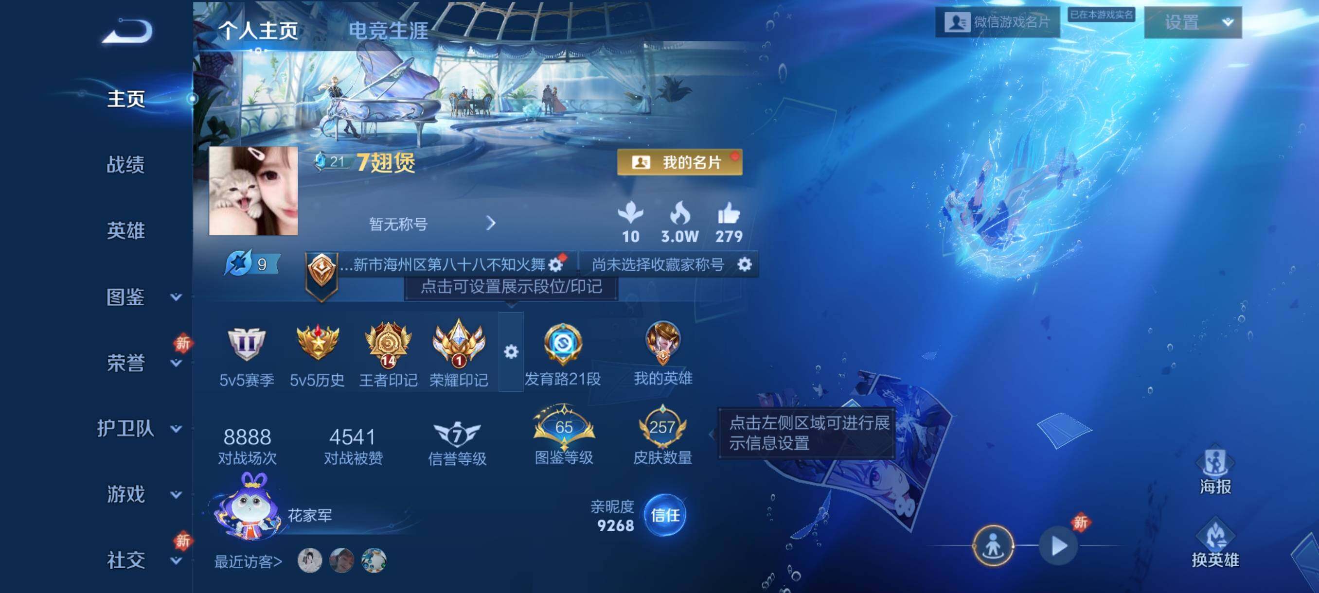 WZJZ4138983王者荣耀账号详情图6