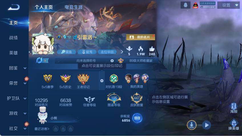 WZLX485534王者荣耀账号详情图9