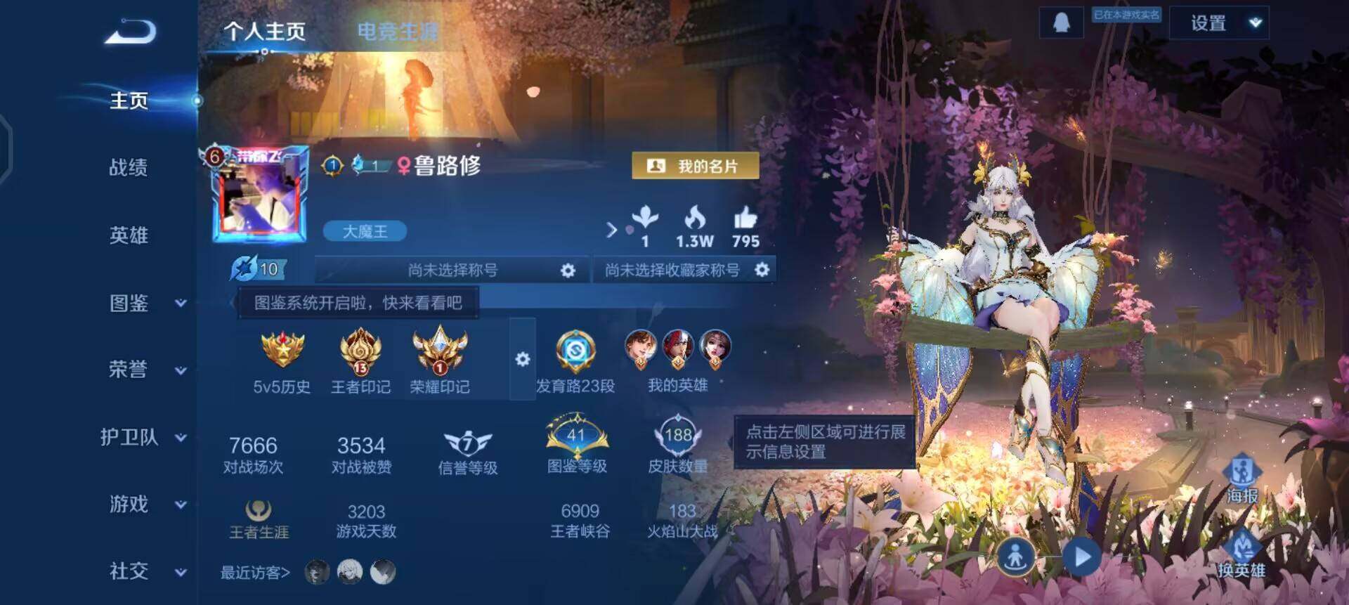 WZQM491797王者荣耀账号详情图3