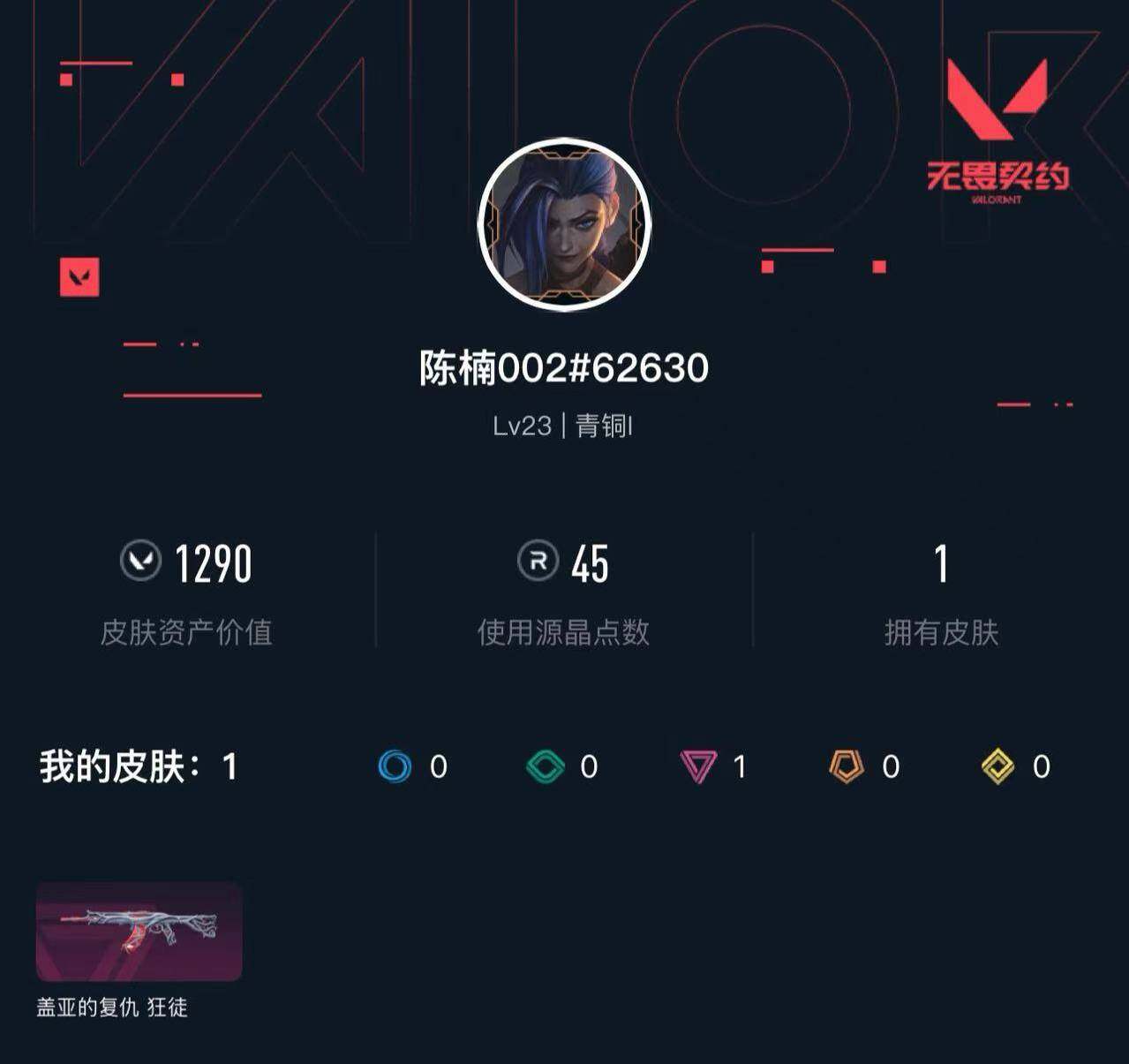 WWQXL46405无畏契约账号详情图3