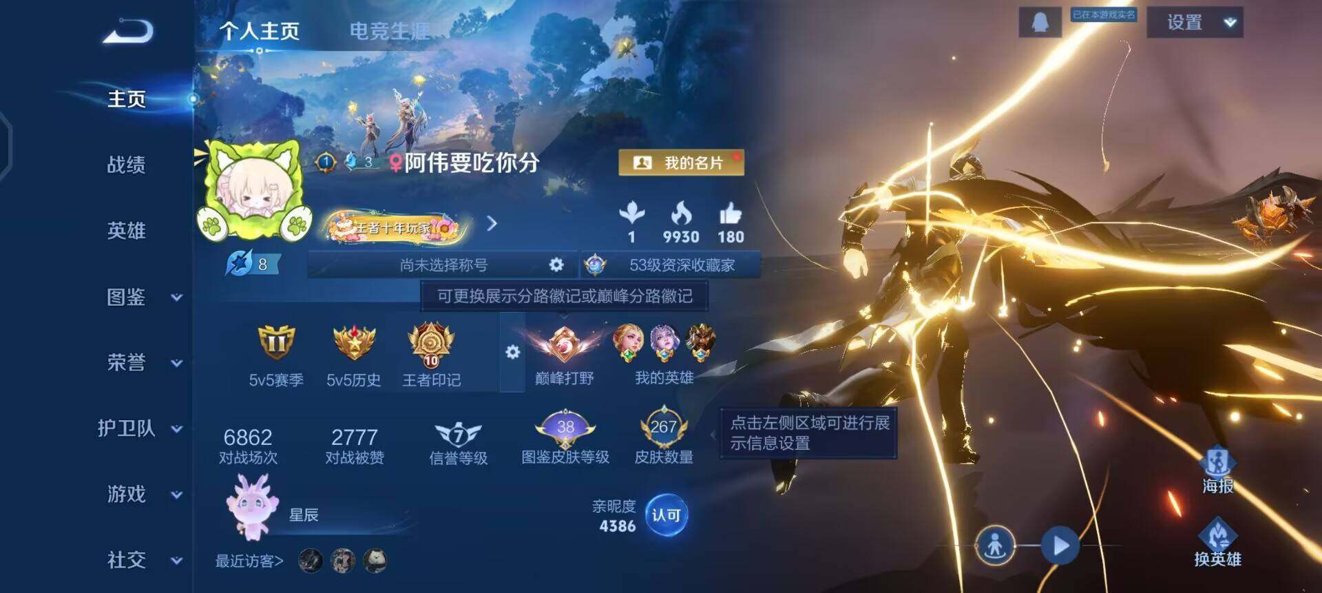 WZQM489382王者荣耀账号详情图3 WZQM489382王者荣耀账号详情图3