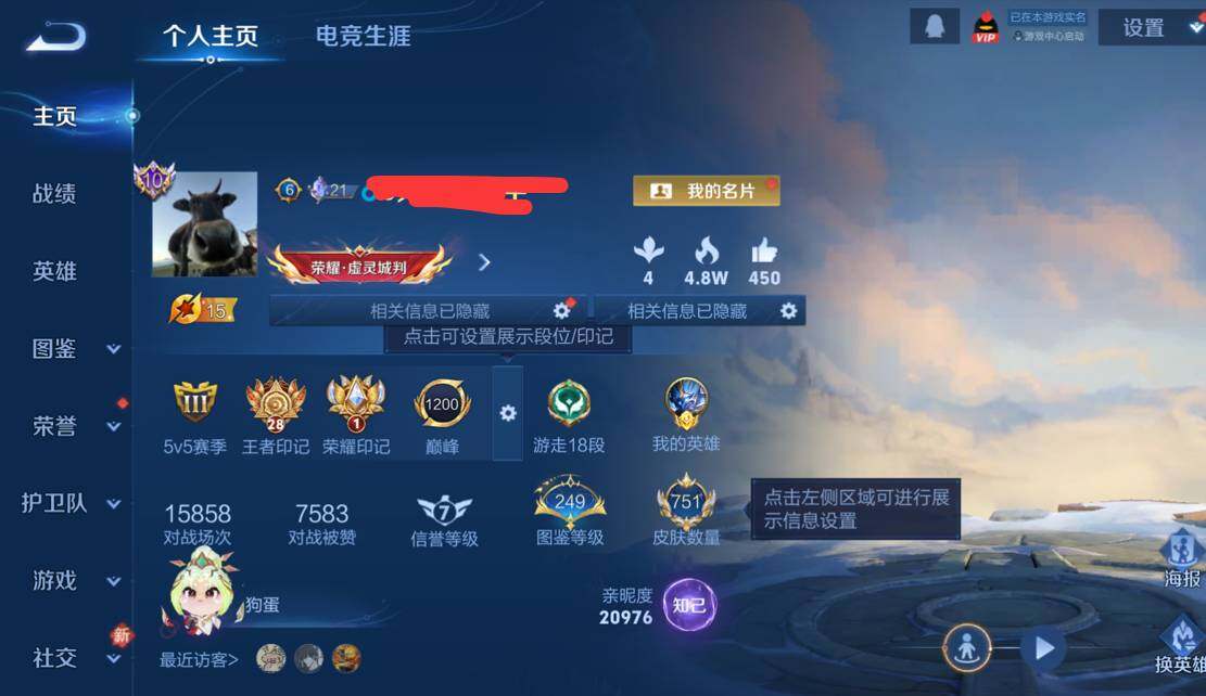 WZQM4102274王者荣耀账号详情图23