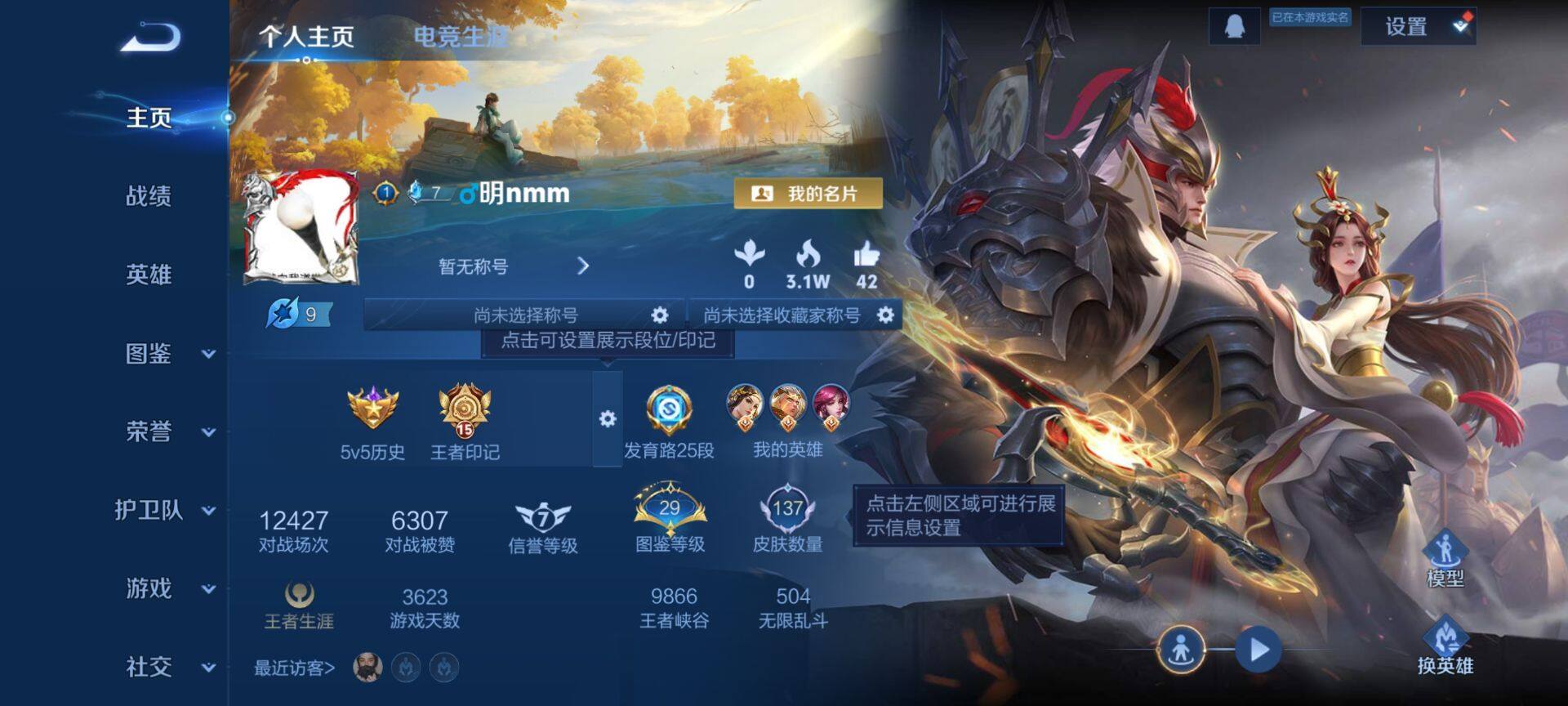 WZQM473660王者荣耀账号详情图3