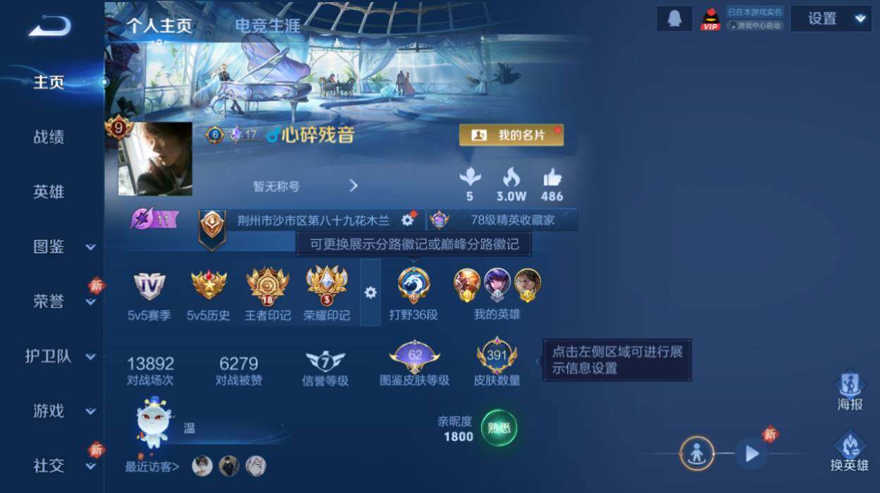 WZCMW485487王者荣耀账号详情图8