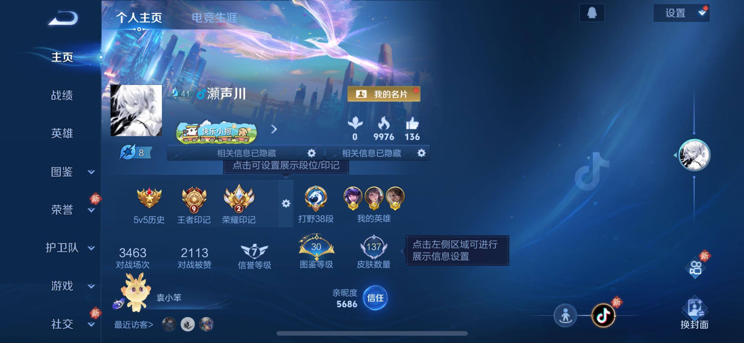 WZJZ493119王者荣耀账号详情图5