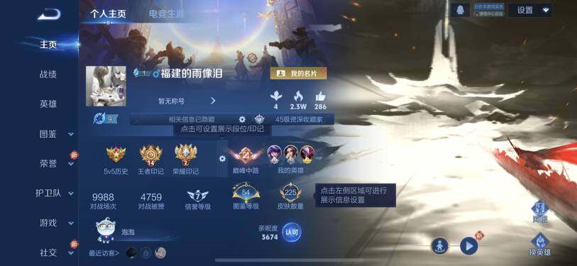 WZQM489946王者荣耀账号详情图12