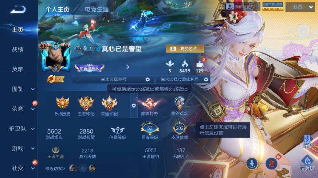 WZLE475252王者荣耀账号详情图6