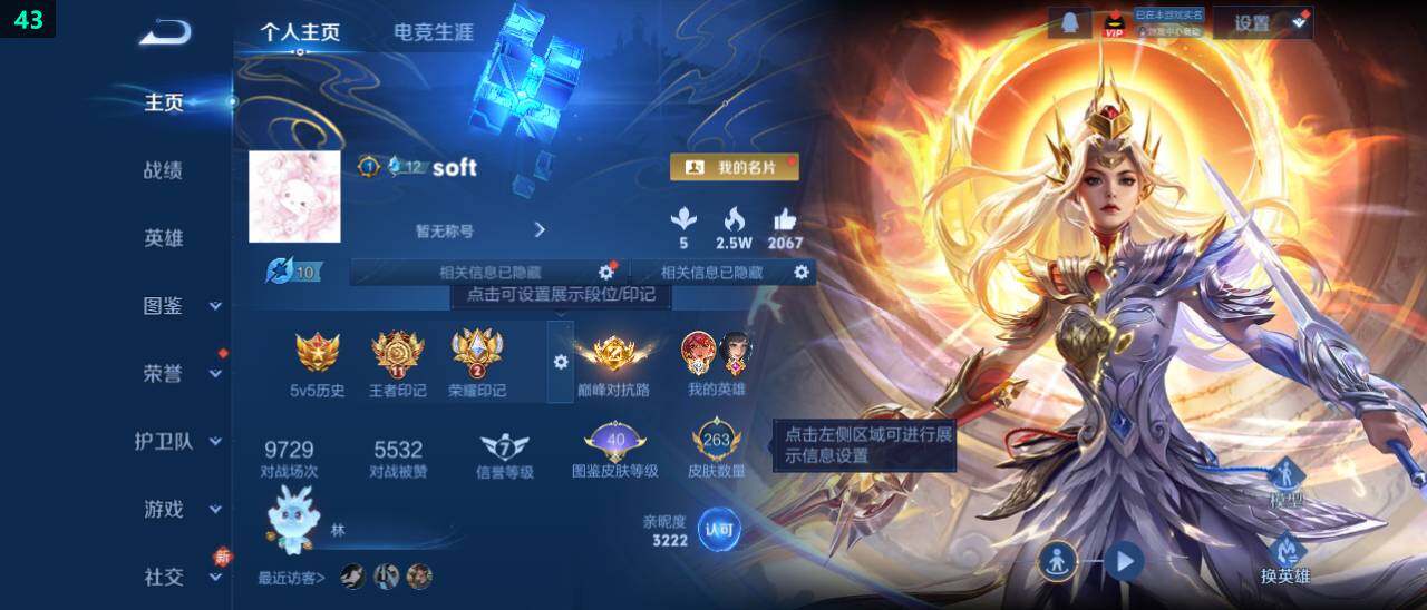 WZ03479057王者荣耀账号详情图8