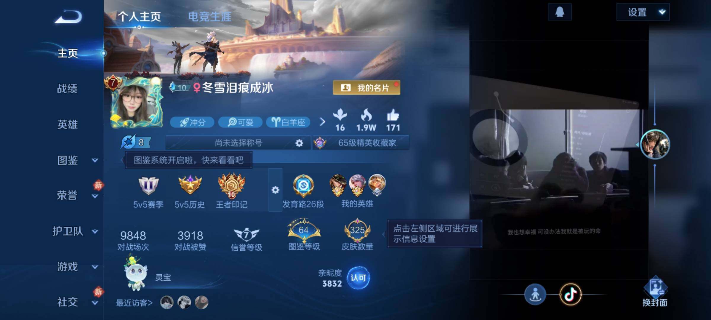 WZKG491530王者荣耀账号详情图10 WZKG491530王者荣耀账号详情图10