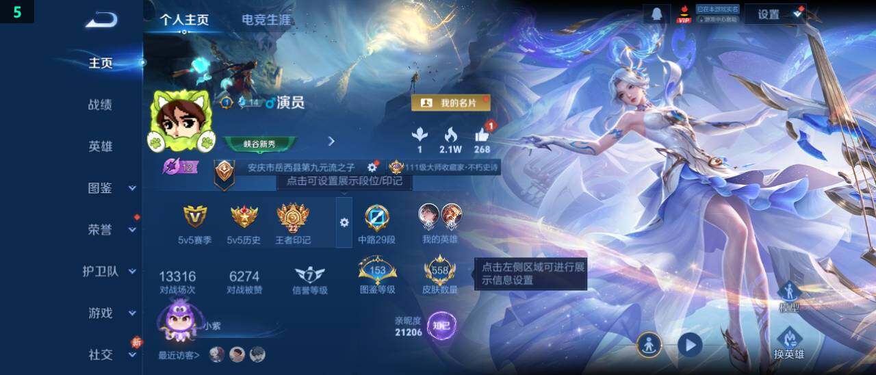 WZ03479027王者荣耀账号详情图13