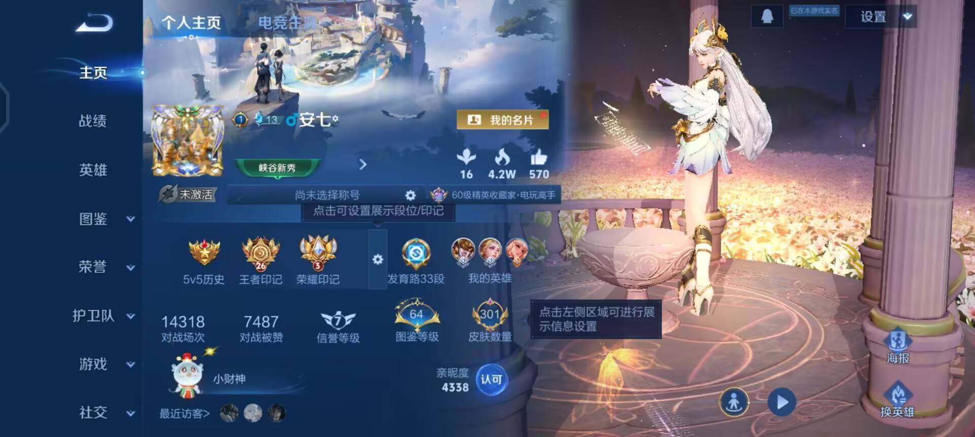 WZQM496624王者荣耀账号详情图3