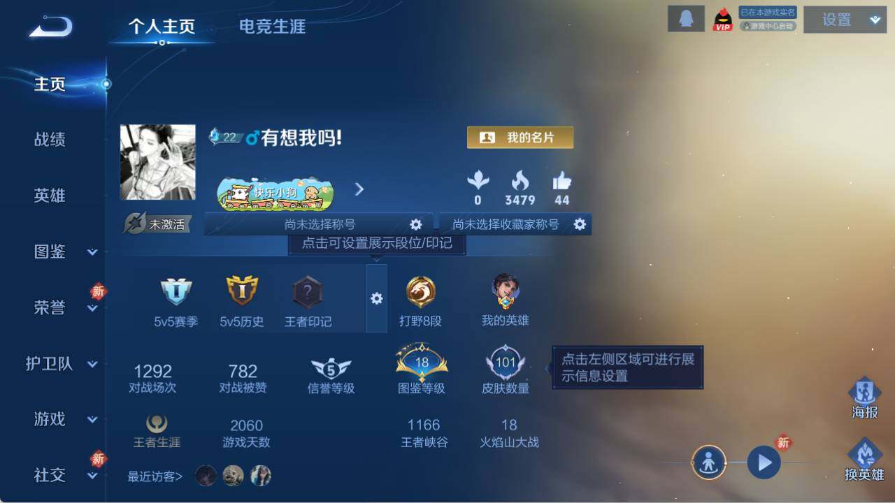 WZQM476136王者荣耀账号详情图5