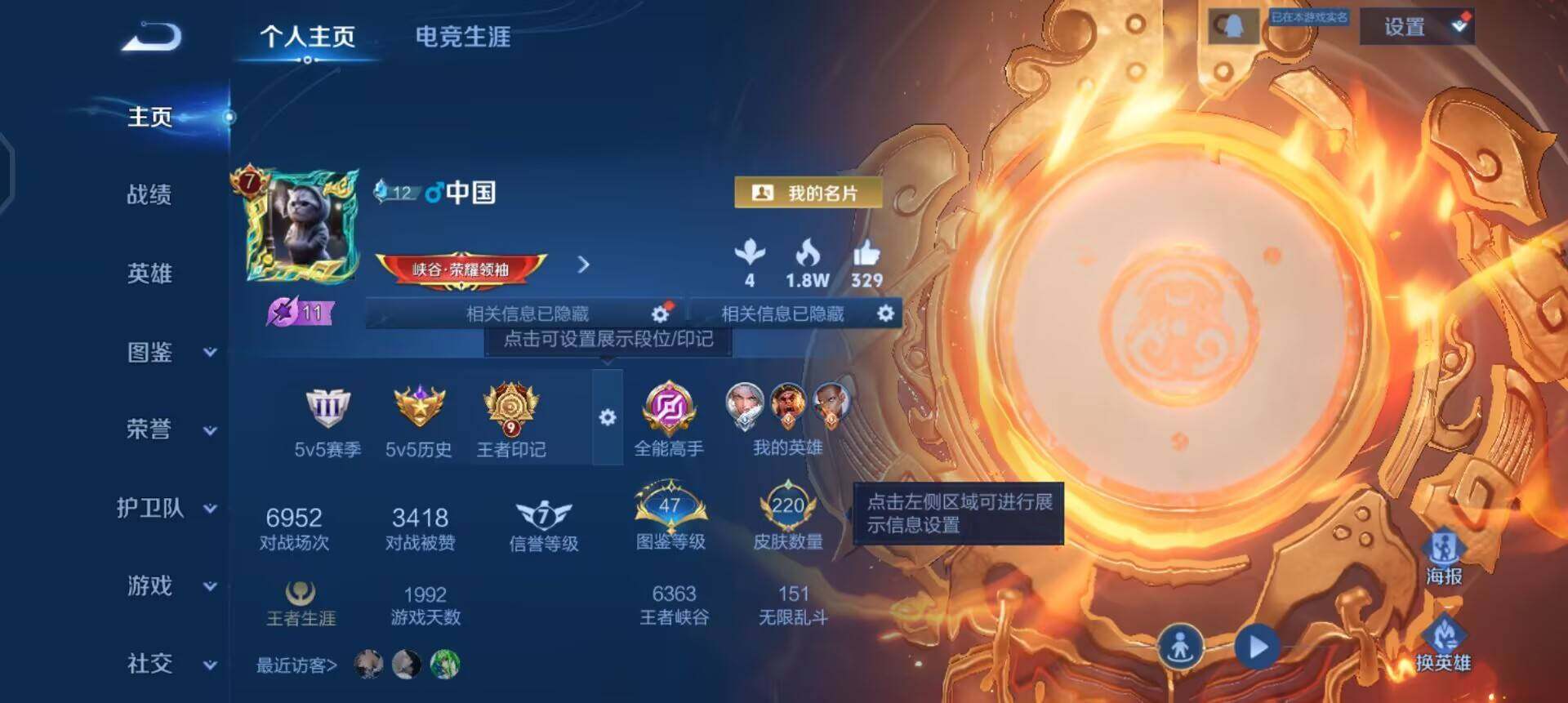 WZQM488252王者荣耀账号详情图3