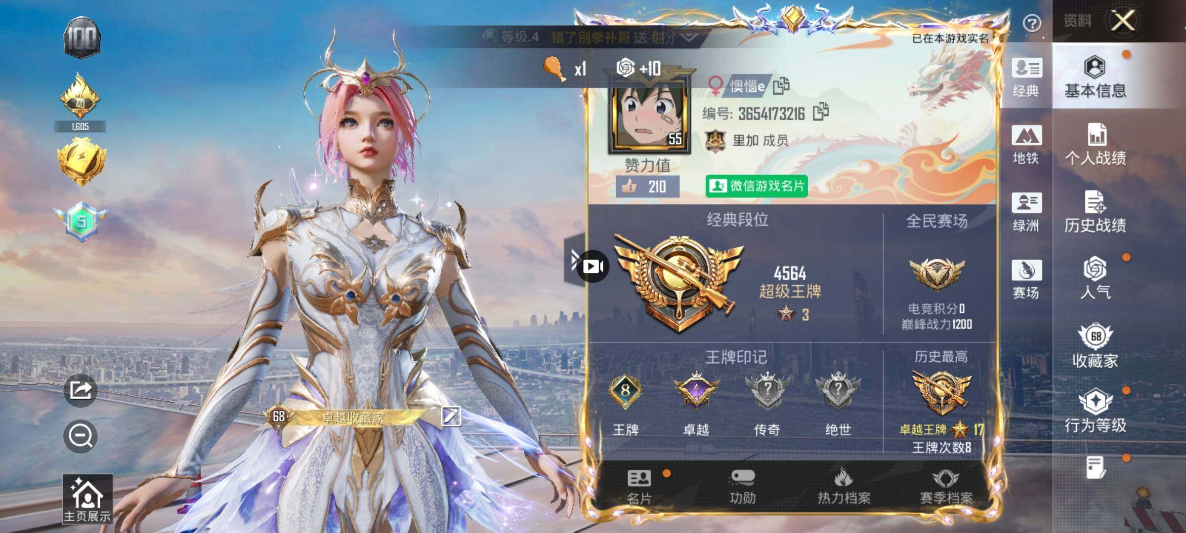 HPQM446910和平精英账号详情图12