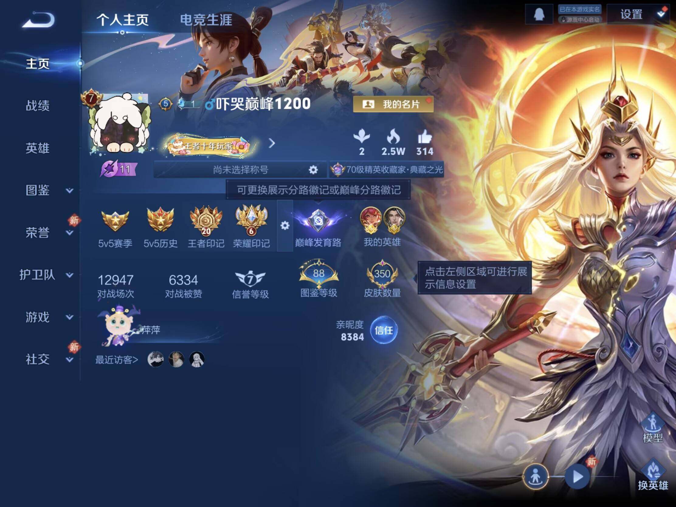 WZLX476975王者荣耀账号详情图14