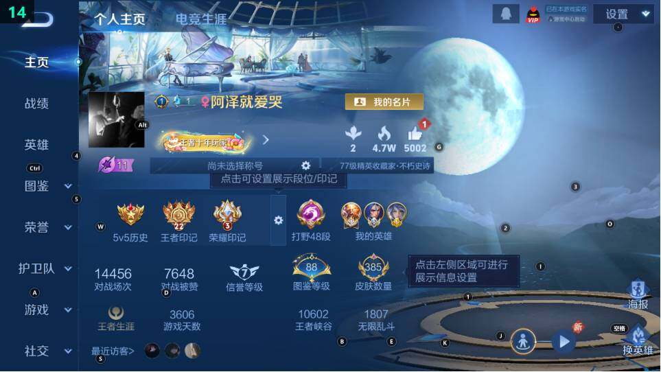 WZ03479044王者荣耀账号详情图10