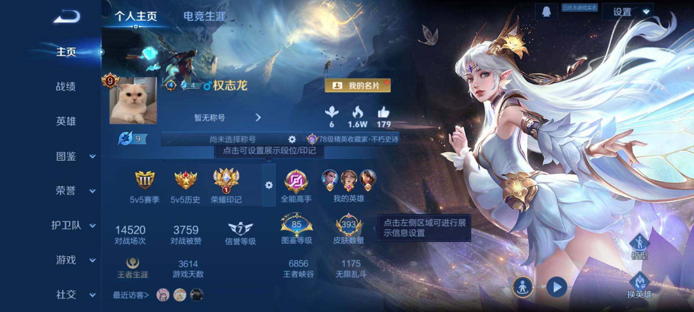 WZLX477537王者荣耀账号详情图12