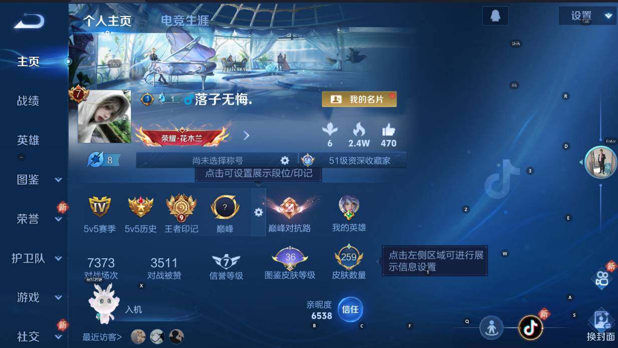 WZCMW478009王者荣耀账号详情图8